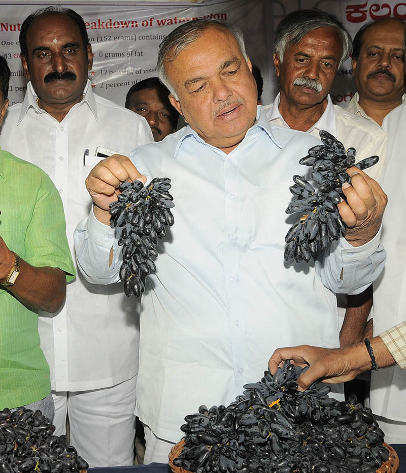 ಮಾರ್ಚ್ ಅಂತ್ಯದವರಿಗೆ ದ್ರಾಕ್ಷಿ-ಕಲ್ಲಂಗಡಿ ಮೇಳ: ರಾಮಲಿಂಗಾರೆಡ್ಡಿ